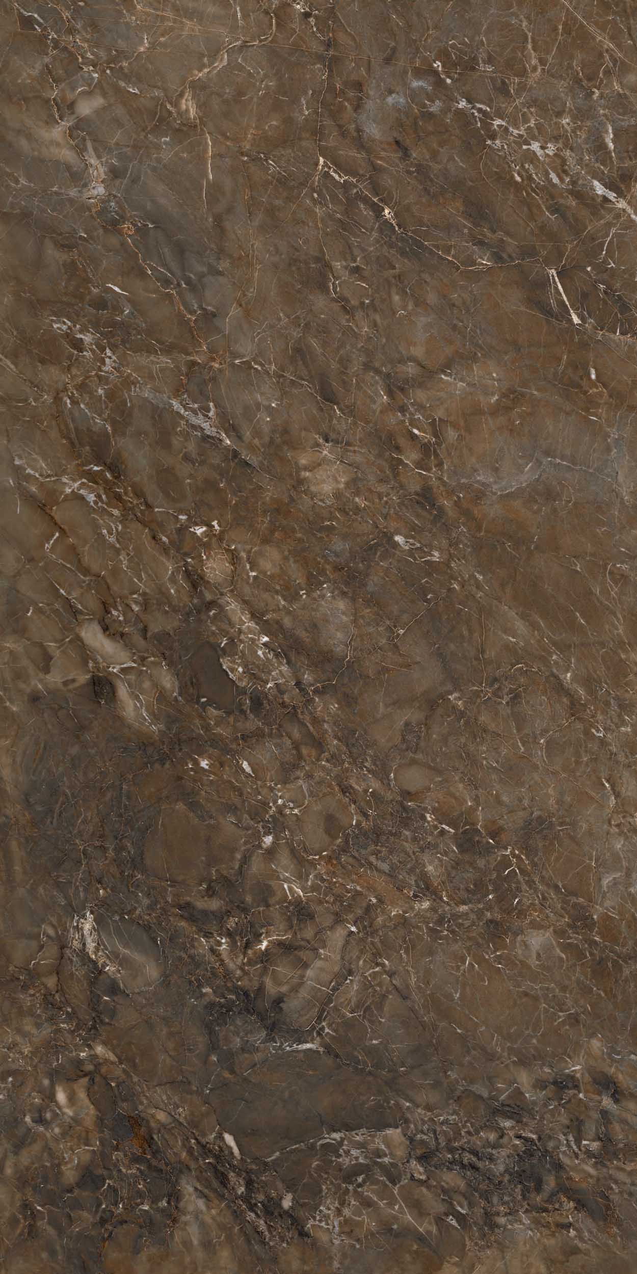 Керамогранит  BR03 60x120x10 Полир. (Керамический гранит) 