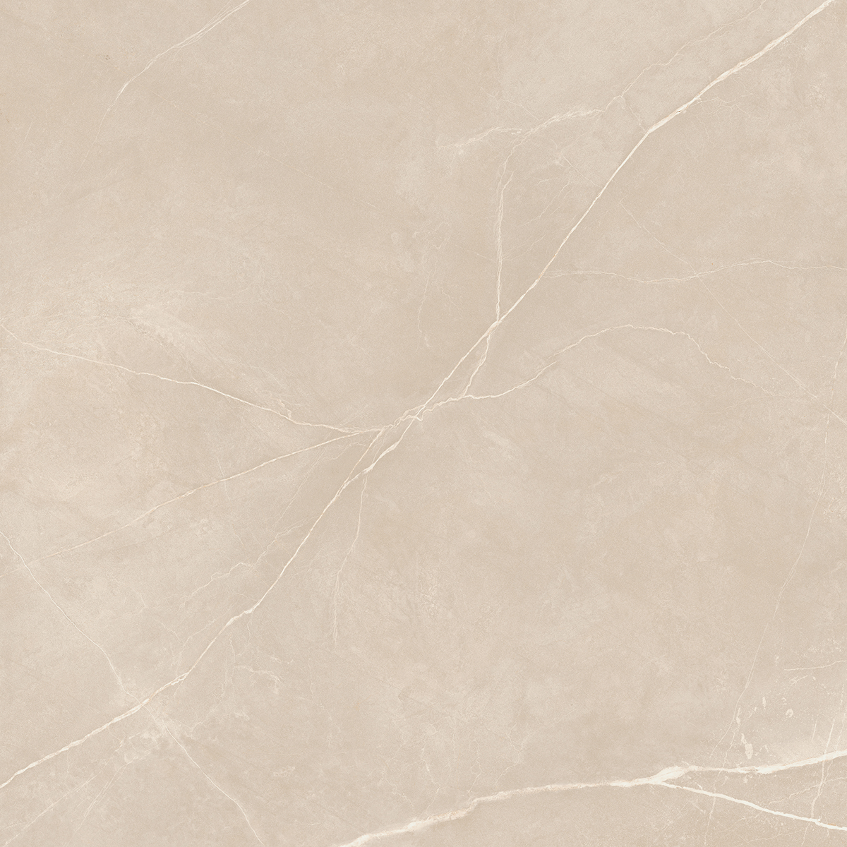 Керамогранит NL01 60x60x9 Полир. (Керамический гранит)-19
