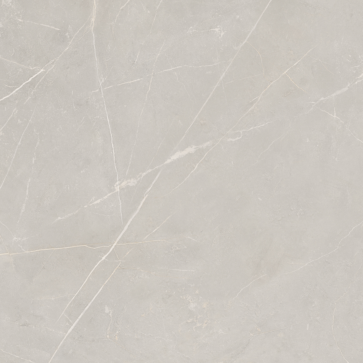 Керамогранит NL02 60x60x9 Полир. (Керамический гранит)-8