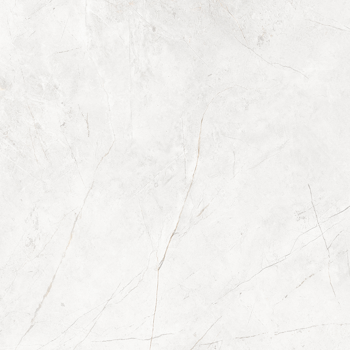 Керамогранит  NL04 60x120x10 Непол.Рект. (Керамический гранит) 